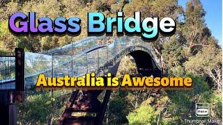 #46 Perth| Kings Park | Glass Bridge at Kings Park and Botanic Garden