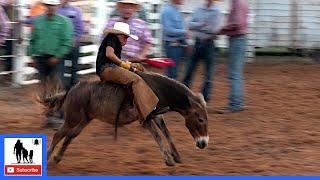 Donkey Riding  2021 Saint's Roost Ranch Rodeo | Saturday