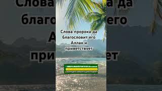 Слова | #quran #религия #ислам