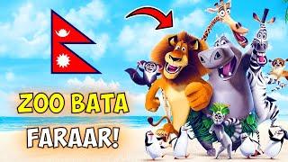 Madagascar 1 - (Explained in Nepali)