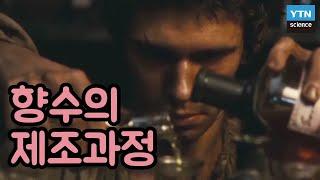 향기로 사람을 매혹시키는 향수 제조 과정 / YTN 사이언스