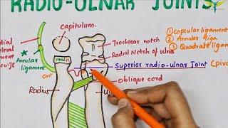 Radio Ulnar Joints | Anatomy | Upper limb