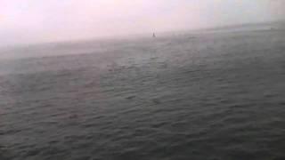 Grey dawn at Redondo Pier