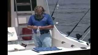 F3617DVD How To Catch Amberjack With Dr Jim