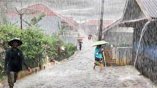 Super Heavy Rain All Day in My Village | Suitable for Insomnia | Sleeping with the Sound of Rain