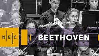 Beethoven: Symphony No. 7 in A Major, op. 92 - NEC Philharmonia