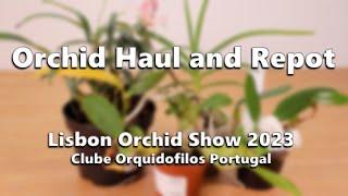 Orchid Haul and Repot // COP Lisbon Orchid Show 2023