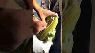 玉米 翡翠訂製玉米，真玉   米 #翡翠直播 #翡翠代購 #翡翠加工 #翡翠設計