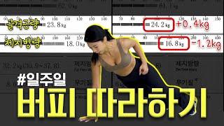 근육업, 지방만 빠지는 버피루틴! 집에서 러닝머신 없이 유산소 하세요