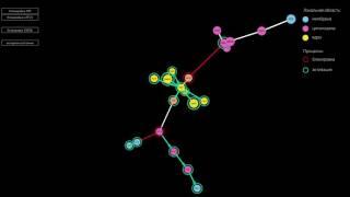 Dynamic Visualization of In-Cell Signal Transduction