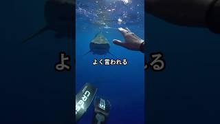 俺の喧嘩の強さ自慢するw【2ch面白スレ】