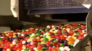 How It's Actually Made - Jelly Beans