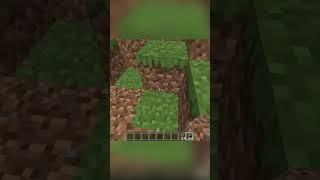 NEVER do THIS in Minecraft! part 2