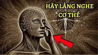 Hãy Lắng Nghe Cơ Thể - Thông Điệp Từ Vũ Trụ Đang Nói Với Bạn