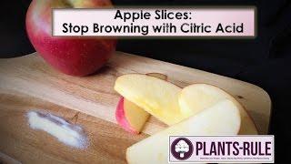 Apple Slices Without Browning: How to Use Citric Acid to Stop Oxidation from Plants-Rule