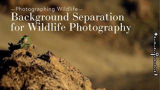 Subject Background Separation for Wildlife Photography