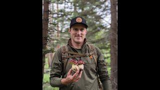 Mushroom and Wild Food Foraging with Orion Aon