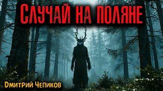 СЛУЧАЙ НА ПОЛЯНЕ | Страшные истории