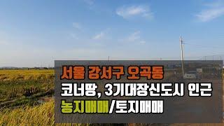 서울 강서구 오곡동 농지매매 / 3기 대장신도시 인근토지매매, 코너땅