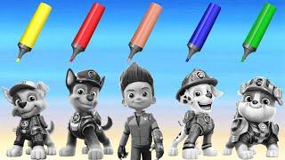 PAW Patrol The Movie | Colors For Kids