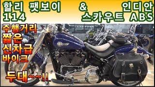 #인디안  #스카우트 abs & #할리데이비슨 #팻보이 114 (인디안 인기 바이크 다루기 편한 전천후 바이크~~!! & 딸랑 7800km 신차급 사실분들..) #연산동빠박이