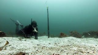 Freediving Norway - Gopro with external flaslight.