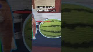 Quickest way to make a watermelon cat!