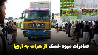 محموله بزرگ صادراتی میوه خشک افغانستان از هرات به اروپا