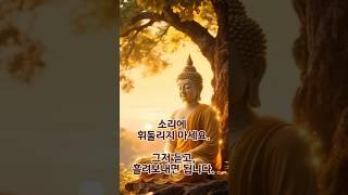 《소리는 지나가고, 마음은 남는다》 | 감정을 흘려보내는 법 | 불교 | 명상 | 자기관리 | 법륜스님