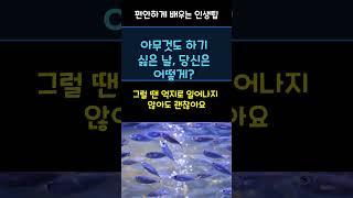 "오늘하루는 나를위한 쉼표"