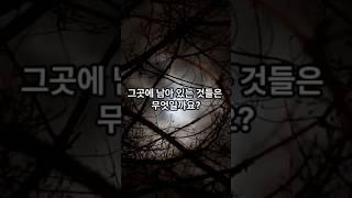 #폐가 #무서운이야기 #폐가체험 #한국