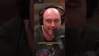 Joe Rogan’s Life Experience! #shorts