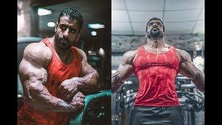 Хади Чупан - ПЕРСИДСКИЙ ВОЛК, Тренировки Атлета из Ирана / Hadi Choopan - Persian Wolf Gym Workout