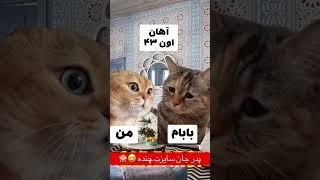 #جالب #cat #باحال