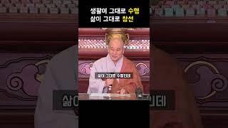 생활이 그대로 수행 삶이 그대로 참선 #참선 #수행 #월암스님 #명상