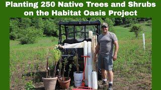 #35 Planting 250 Native Trees and Shrubs on the Habitat Oasis Project a Reclaimed Strip Mine in Ohio