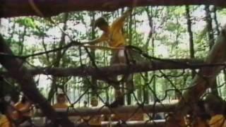 1982 Project SOAR