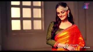 Taani Sarees Making Off CUT- Thayane Nassi 2015