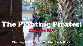 Planting FREE Plants we find Weekly! | The Planting Pirates Episode #23