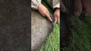 O.W.O Landscaping Synthetic Grass Installation