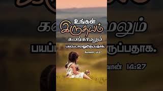 இயேசுவின் வார்த்தை - Jesus Talks ( 16-11-2024 ) | #Bible Verse | #Jesus | #shorts | #prayer