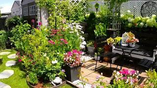 New Day In Tiny Garden | Plants and Flowers Garden Tour  #garden #gardening #plants #flowers #new