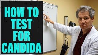 Candida Test - The Best Way to Test for Candida Overgrowth (Forget the Spit Test)