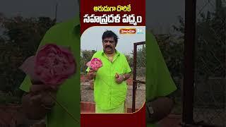 Sahasradala Padmam | సహస్రదళ పద్మం | Venu Swamy | Himdu tv shorts