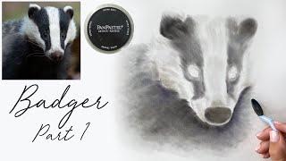 Part 1 - How to Draw a Realistic Badger with Coloured Pencils & Pan Pastels on Drafting Film