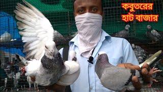 GALIFF STREET PET MARKET || PRICES OF FLYING & RACING PIGEONS || বৃহত্তম কোলকাতার পায়রার হাট||