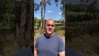 Welcome to this Australia  Day Long Weekend Wrap on the Week in Real Estate