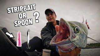 When lures don't work - STRIPBAIT or SPOON? // Kayak Fishing  SOUTH AFRICA // PART 1