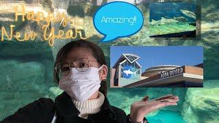 Oarai Aqua World! | Ibaraki,Japan | Vlog08