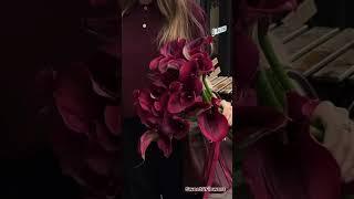 Невероятные каллы 🩷 #flowers #красиваяженщина #цветы #красиваядевушка #цветы #букет #букетцветов